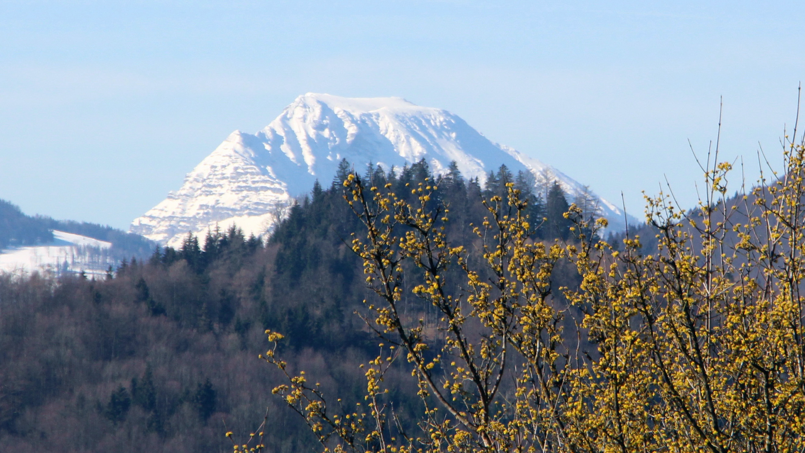 Dirndlblte Mit Tscherblick